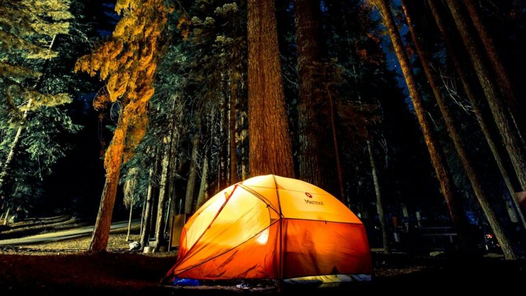 Glowing orange tent in a tall pine forest at night