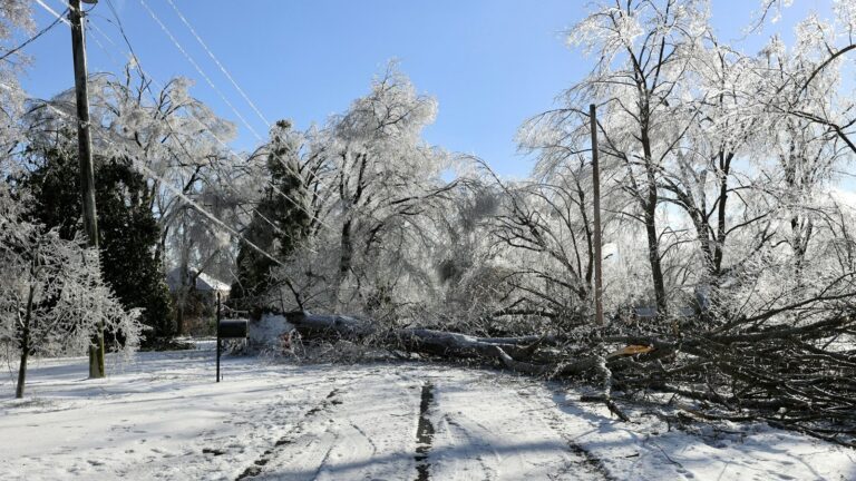 Ice-covered trees and a fallen tree on a snowy road after an ice storm