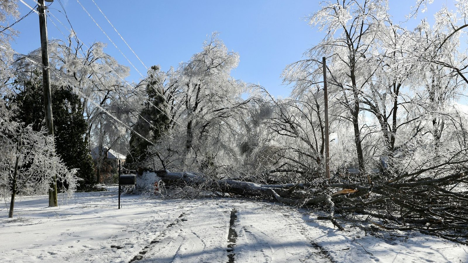Ice-covered trees and a fallen tree on a snowy road after an ice storm